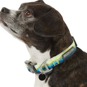 Arcadia Lightweight Dog Collar